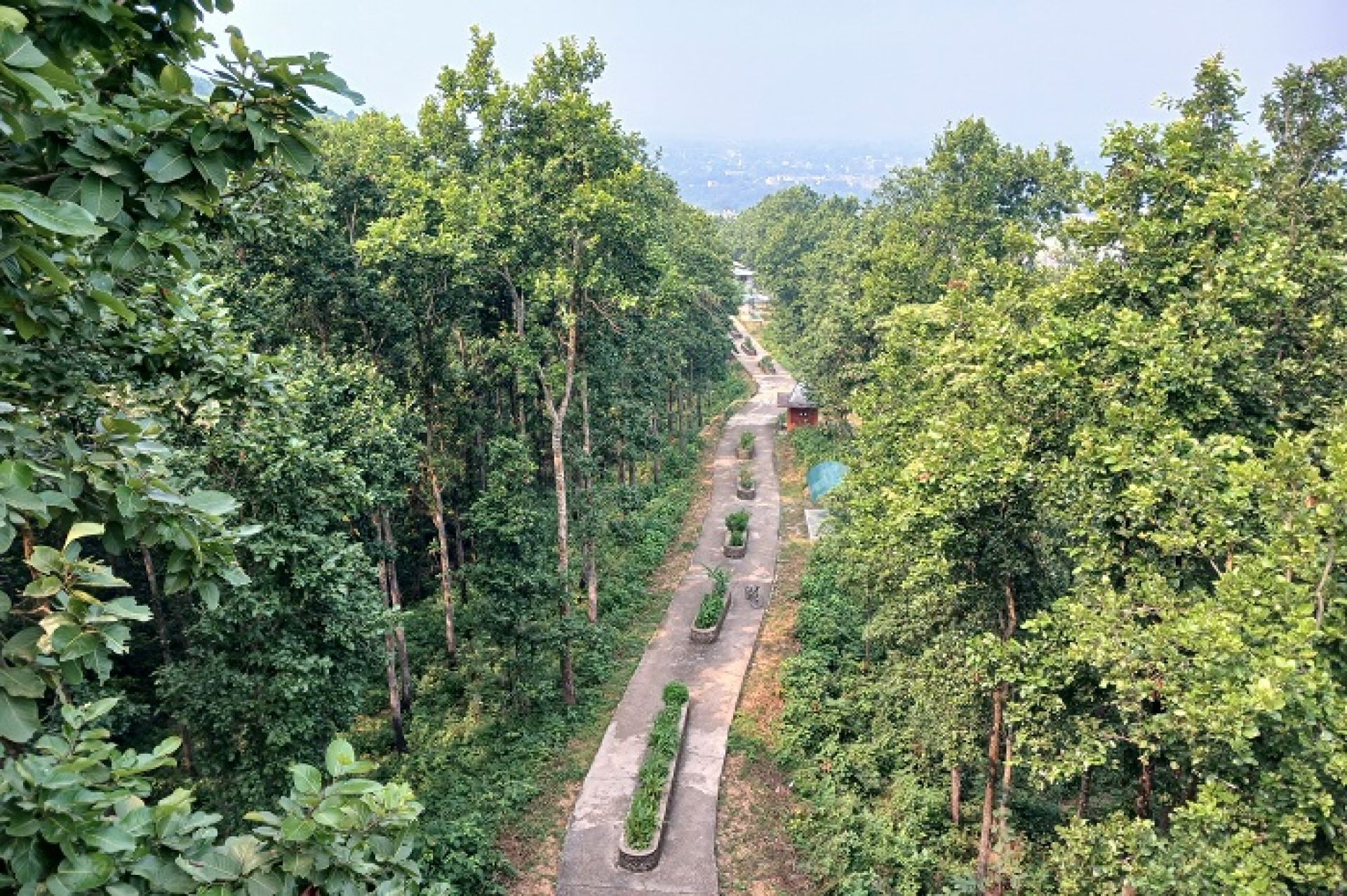 लौरेपालो गरेर हुर्काइएको ‘राम्चेवन’ पर्यटकीय गन्तव्य बन्दै, यस्ता छन् नयाँ योजना